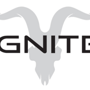 IGNITE | Tech Market Brasil