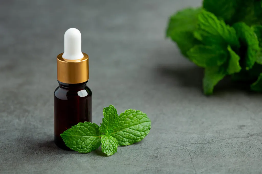 Foto do E-liquido de menta na Tech Market Brasil