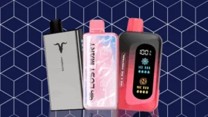 Banner do nosso Ranking 2025: os 5 melhores pods descartáveis com maior duração